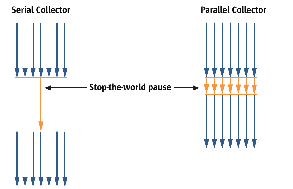 Comparison between serial and parallel young generation collection